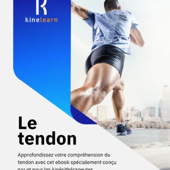 Le tendon